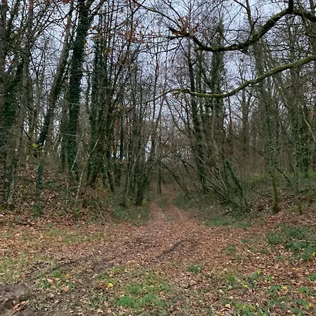 Lappart Appartement Juvigny-en-Perthois