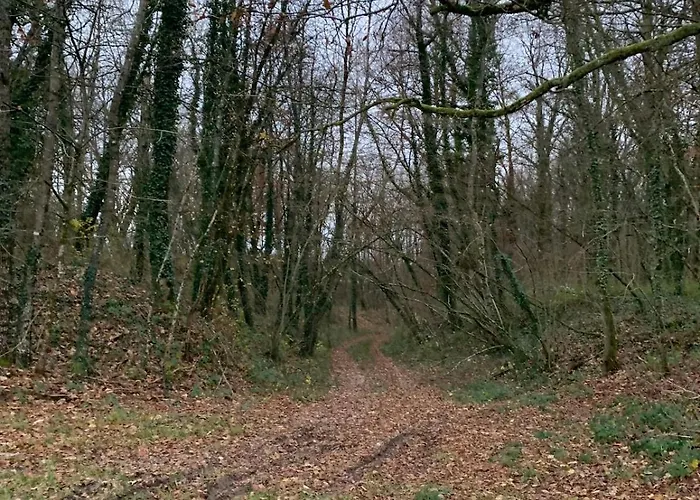 Lappart Διαμέρισμα Juvigny-en-Perthois